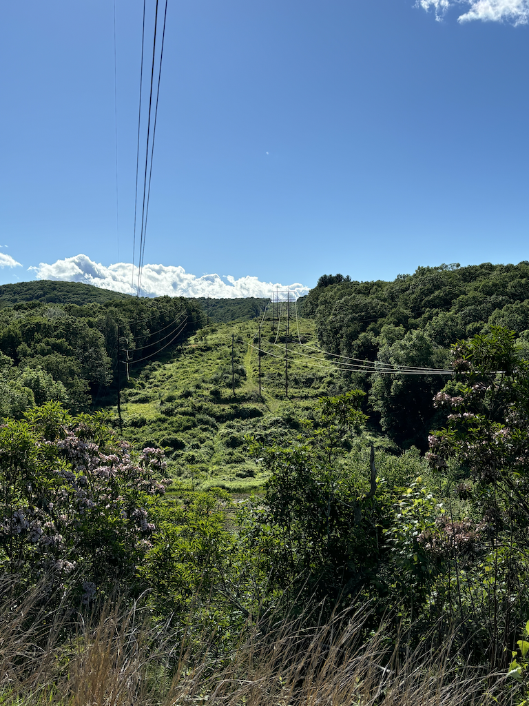Steep rock