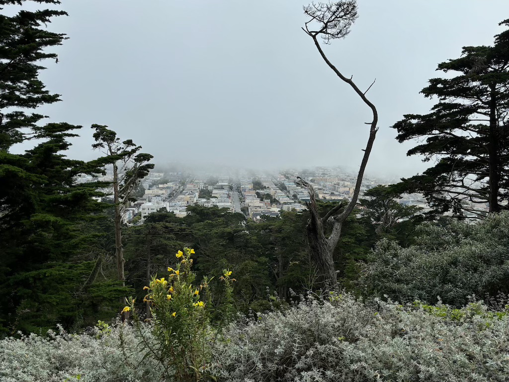Karl the fog from Strawberry Hill viewpoint