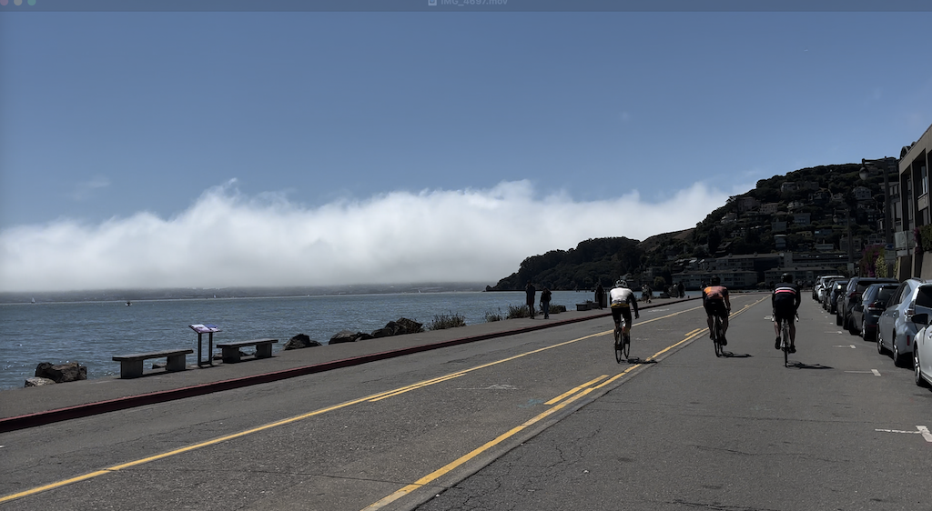 Waters edge in Sausalito
