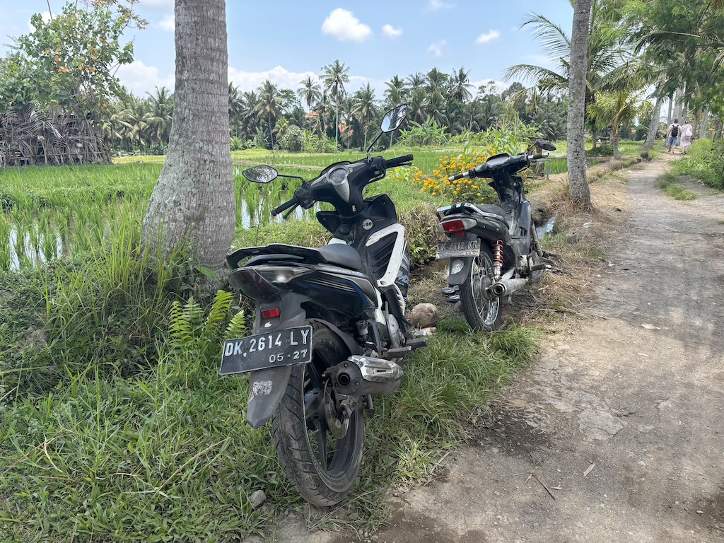 Mopeds parked on the Ubud rice fields trail