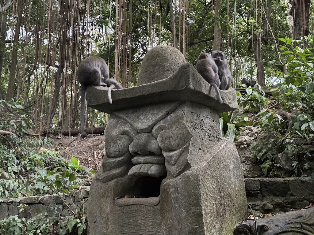 Monkeys in the Sacred Monkey Forest Sanctuary