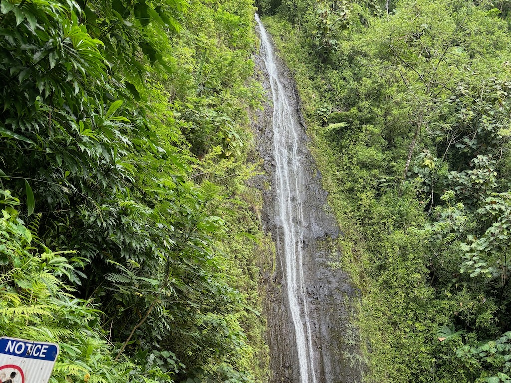 Manoa Falls