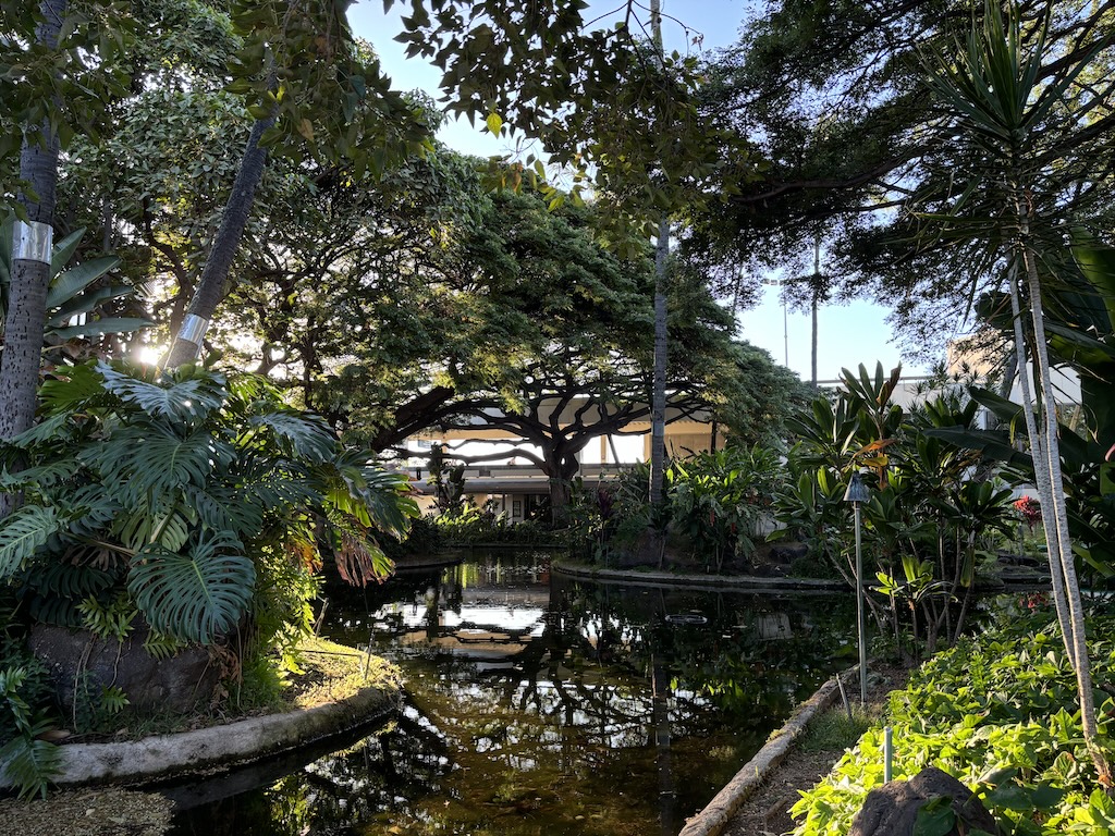 Hawaiian garden in Honolulu airport