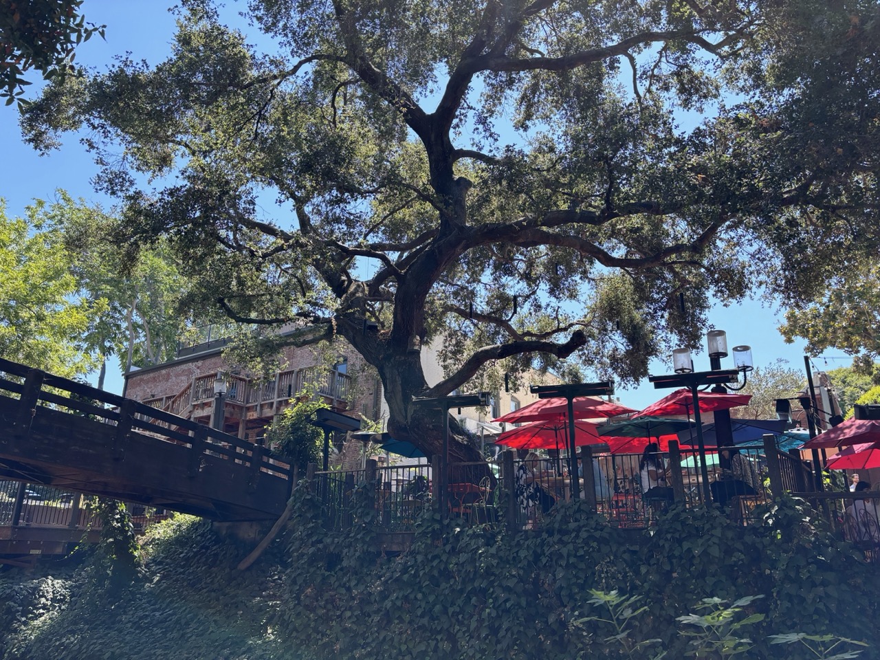 Terrace on San Luis Obispo Creek