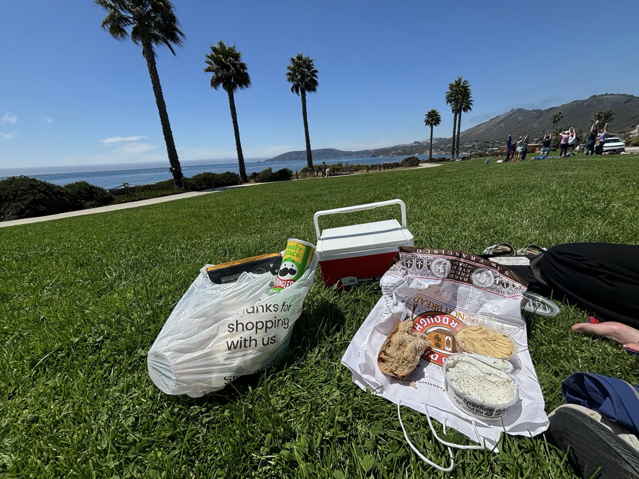 Picnic in Grover Beach